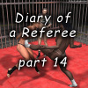 Diary of a Referee, part 14
